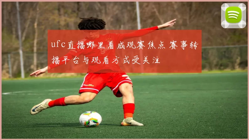 ufc直播哪里看成观赛焦点 赛事转播平台与观看方式受关注