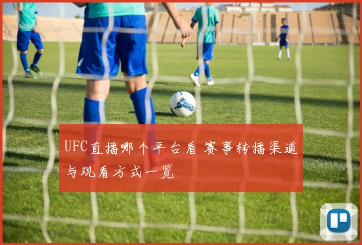 UFC直播哪个平台看 赛事转播渠道与观看方式一览